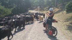 img_20180710_113436_28676820667_o