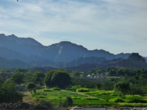 P1080375_edited