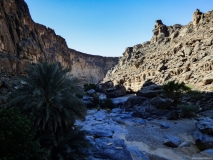 P1080578_edited