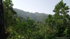 023e7bc1cc50ae3d49b0175a0f7fa171.0
