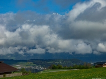 p1050867_39883193380_o