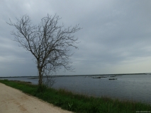 p1050991_28041685938_o