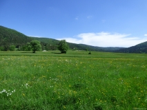 p1060043_41967117152_o